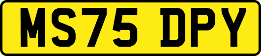 MS75DPY