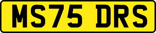 MS75DRS