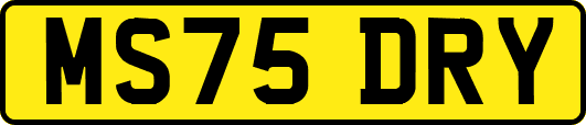 MS75DRY