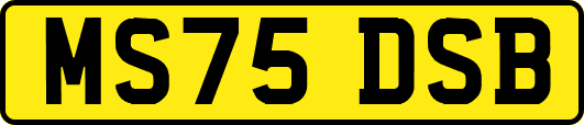 MS75DSB