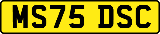 MS75DSC