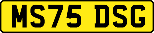 MS75DSG