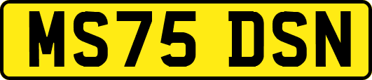 MS75DSN