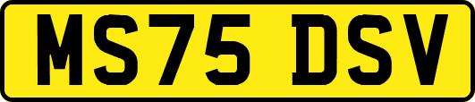 MS75DSV