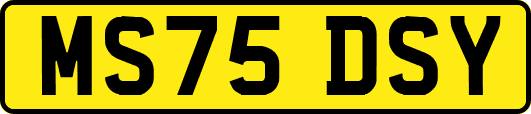 MS75DSY