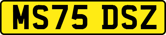 MS75DSZ