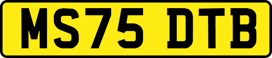 MS75DTB