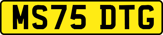 MS75DTG