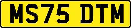 MS75DTM