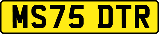 MS75DTR