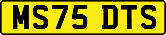 MS75DTS