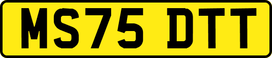 MS75DTT