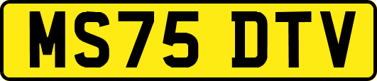 MS75DTV