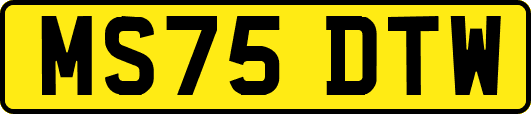 MS75DTW