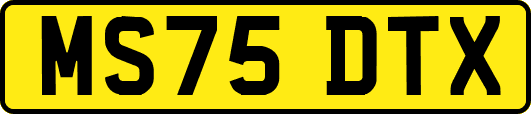 MS75DTX