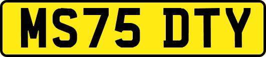 MS75DTY