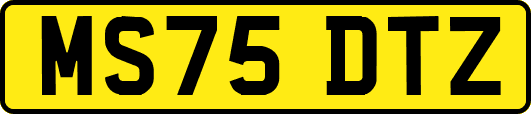 MS75DTZ