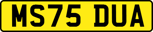 MS75DUA