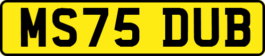MS75DUB