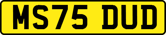 MS75DUD
