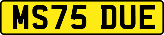 MS75DUE