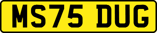 MS75DUG