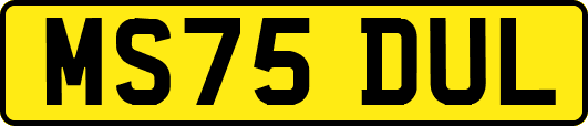 MS75DUL
