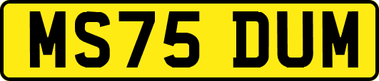 MS75DUM