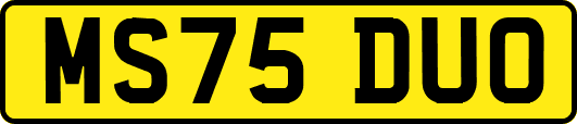 MS75DUO