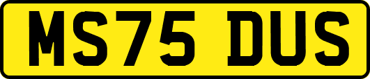 MS75DUS