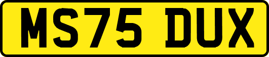 MS75DUX