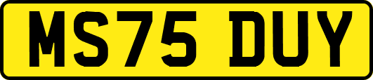 MS75DUY