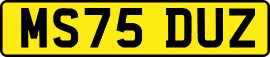 MS75DUZ