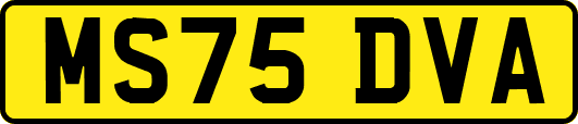 MS75DVA