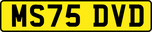 MS75DVD