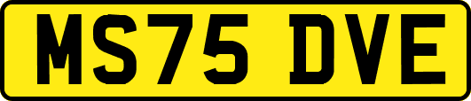 MS75DVE