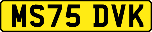 MS75DVK