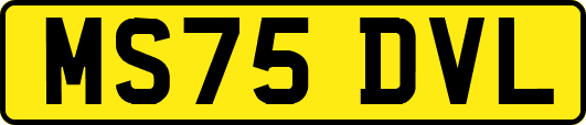 MS75DVL