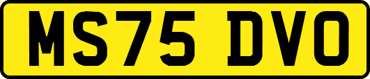 MS75DVO