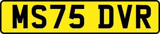 MS75DVR