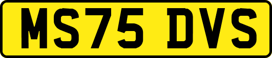 MS75DVS