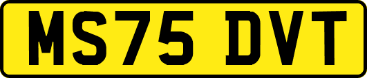 MS75DVT