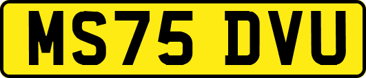 MS75DVU
