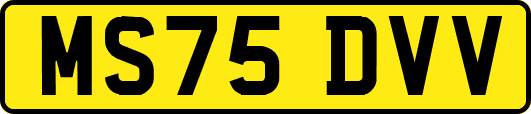 MS75DVV