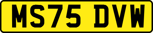 MS75DVW