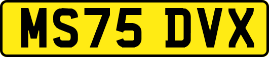 MS75DVX