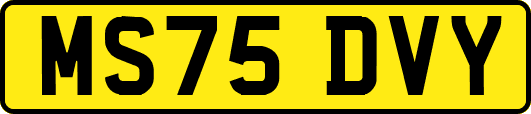 MS75DVY