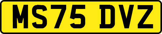 MS75DVZ