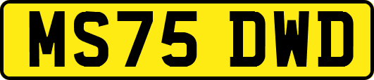 MS75DWD