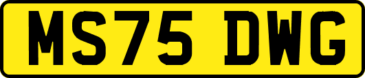 MS75DWG